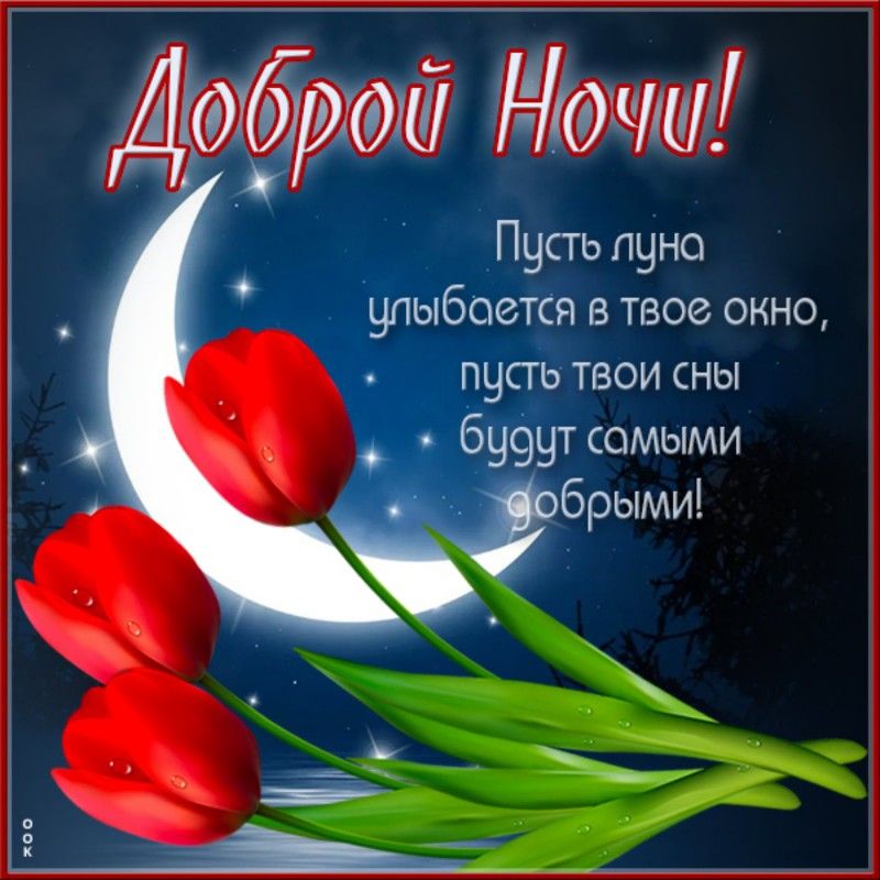 Открытка «Доброй ночи»: Доброй ночи: Красивое пожелание со стихами и тюльпанами. Тэги: Спокойной ночи, Спокойной ночи…