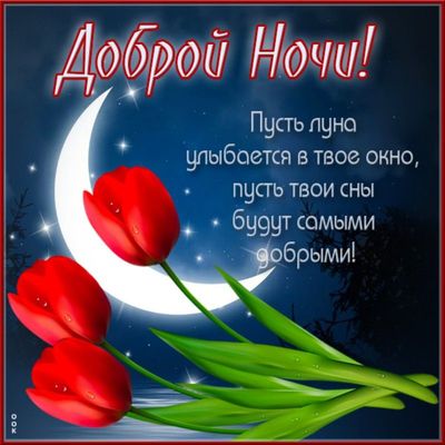 Открытка «Доброй ночи»: Доброй ночи: Красивое пожелание со стихами и тюльпанами. Тэги: Спокойной ночи, Спокойной ночи…