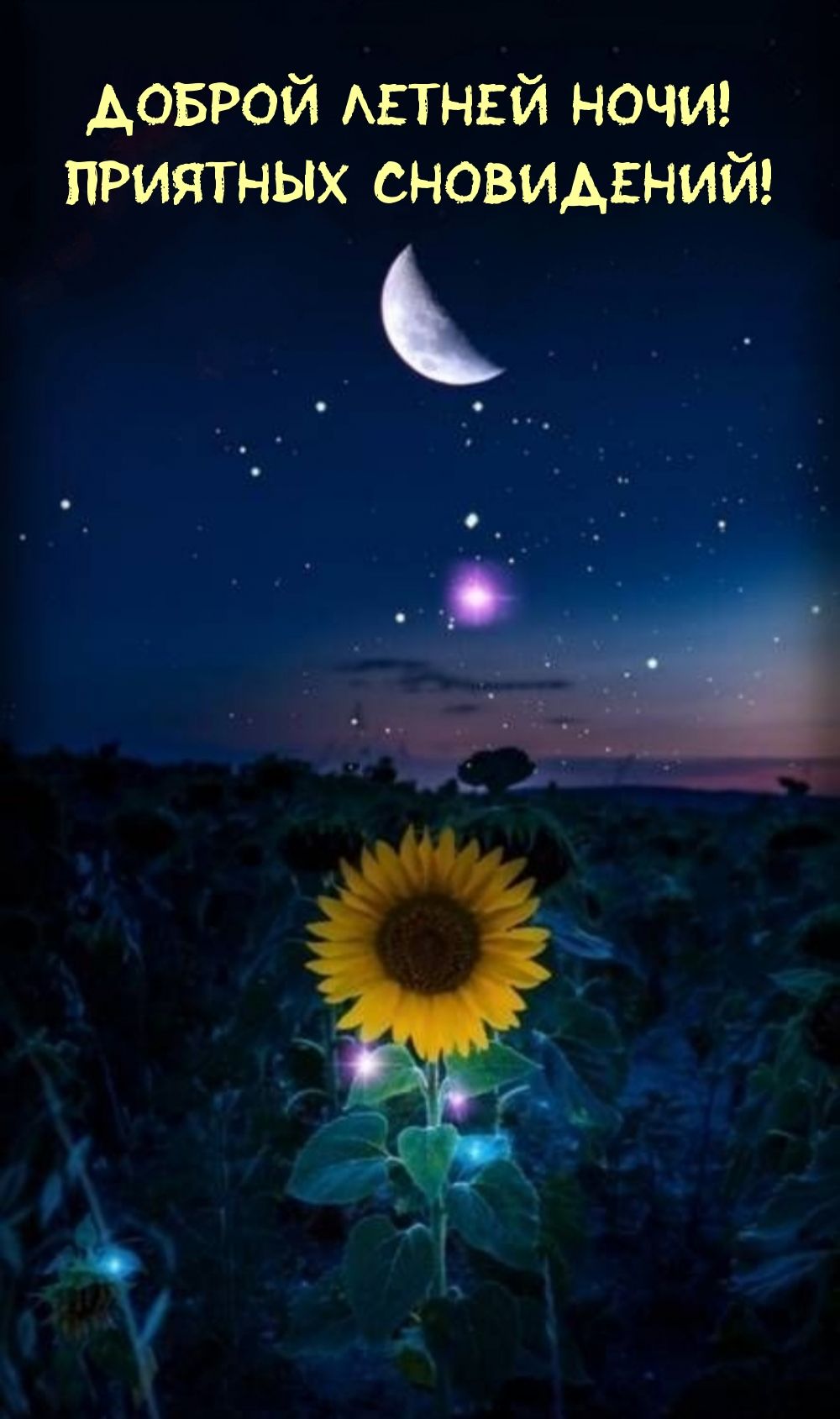 Открытка «Доброй ночи»: Доброй ночи: «Подсолнух под звездным небом». Тэги: Спокойной ночи, Спокойной ночи, красивые…