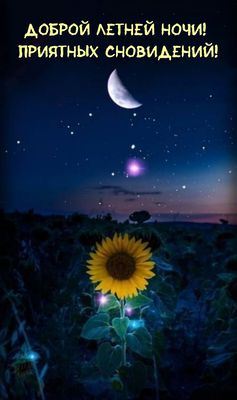 Открытка «Доброй ночи»: Доброй ночи: «Подсолнух под звездным небом». Тэги: Спокойной ночи, Спокойной ночи, красивые…