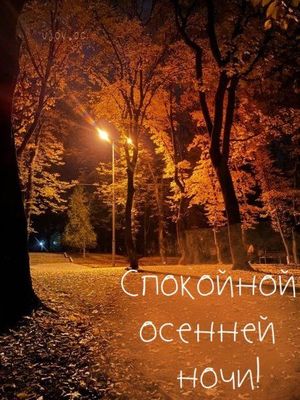 Открытка «Доброй ночи»: Спокойной ночи: красивая открытка Осенний парк. Тэги: Спокойной ночи, Спокойной ночи, с пожел…