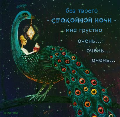 Открытка «Доброй ночи»: Спокойной ночи: Романтическая открытка с павлином. Тэги: Спокойной ночи, Спокойной ночи…