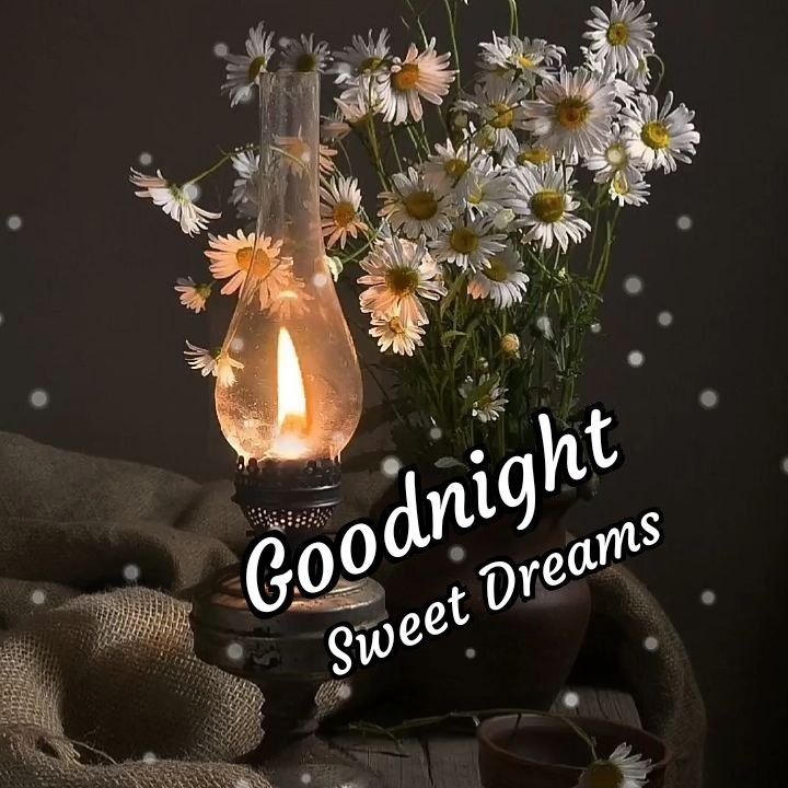 Открытка «Доброй ночи»: Спокойной ночи: открытка с лампой и ромашками. Тэги: Спокойной ночи, Спокойной ночи, с пожела…