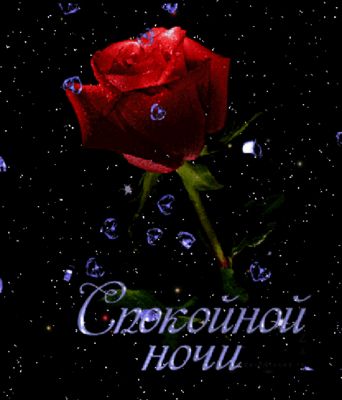 Открытка «Доброй ночи»: Спокойной ночи: Красная роза на фоне звездного неба. Тэги: Спокойной ночи, любимая женщина…