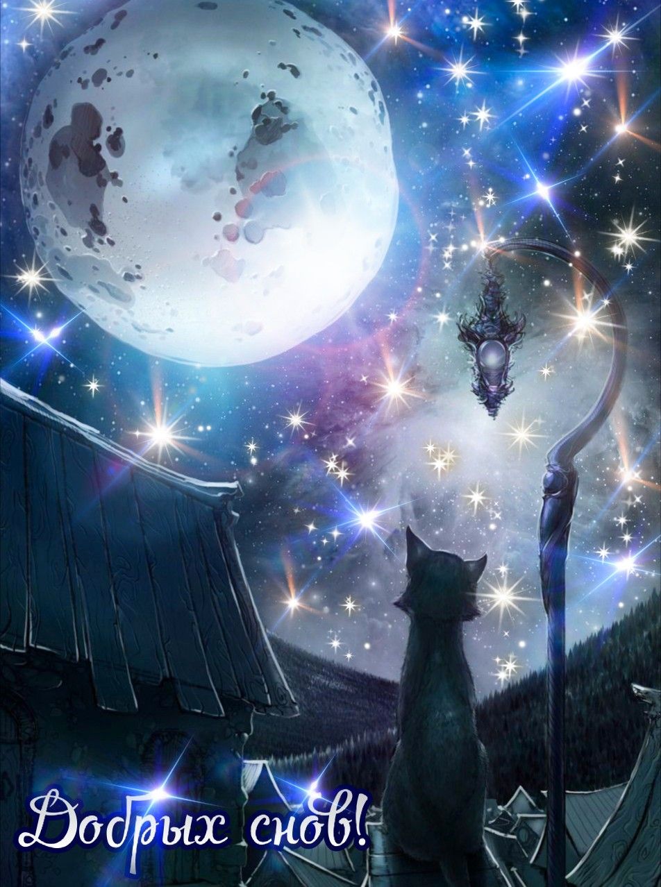Открытка «Доброй ночи»: Спокойной ночи: Кот под сияющей луной и звездами. Тэги: Спокойной ночи, Спокойной ночи…
