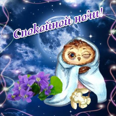 Открытка «Доброй ночи»: Доброй ночи: Милая сова под луной.