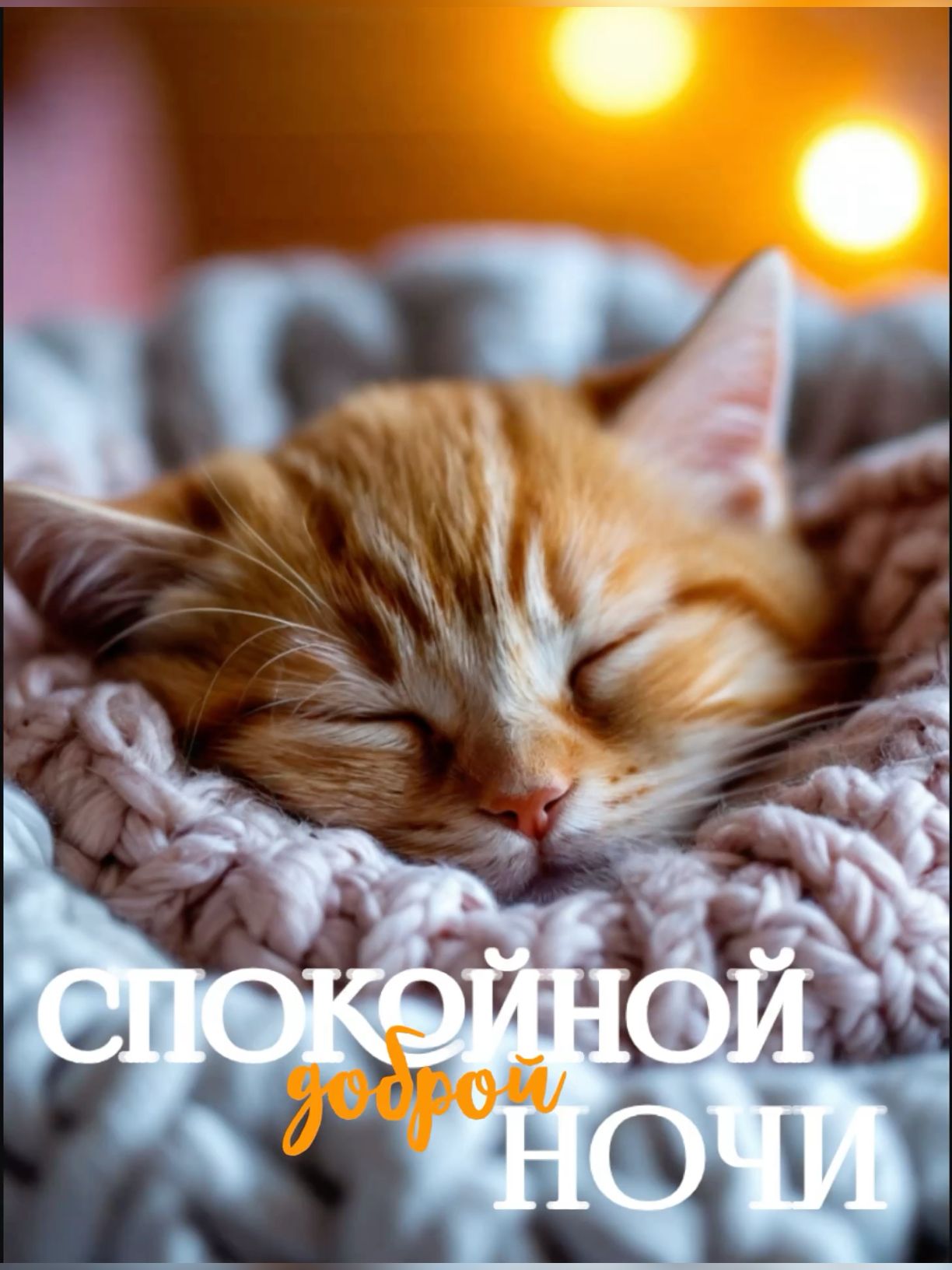 Открытка «Доброй ночи»: Спокойной доброй ночи: милый рыжий котик на пледе. Тэги: Спокойной ночи, Спокойной ночи…