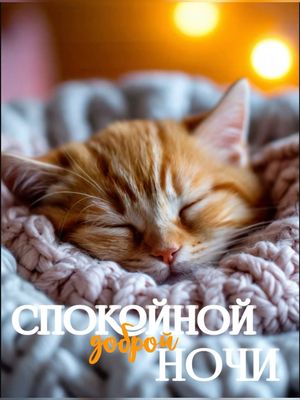 Открытка «Доброй ночи»: Спокойной доброй ночи: милый рыжий котик на пледе. Тэги: Спокойной ночи, Спокойной ночи…