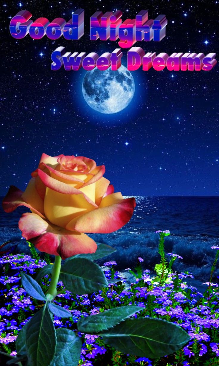 Открытка «Доброй ночи»: Спокойной ночи: Роза под полной луной. Тэги: Спокойной ночи, ночной, Спокойной ночи, красивые…