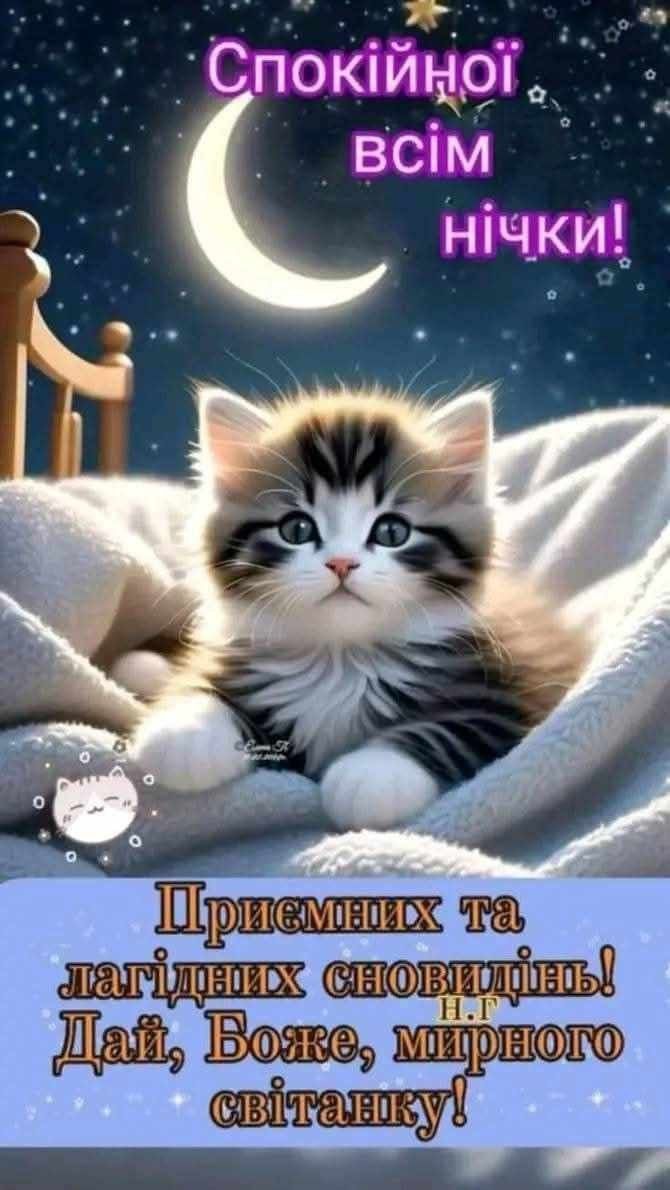 Открытка «Доброй ночи»: Спокойной ночи: милый котенок и пожелание доброй ночи. Тэги: Спокойной ночи, Спокойной ночи…