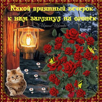 Открытка «Добрый вечер и пожелания»: Добрый вечер: «Приятный вечерок на огонек» с котом. Тэги: Доброго вечера и хорош…