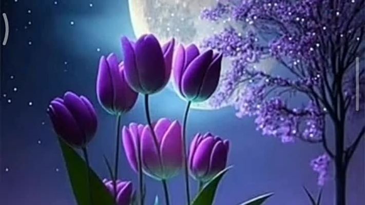 Открытка «Доброй ночи»: Спокойной ночи: Волшебные тюльпаны под луной. Тэги: Спокойной ночи, Спокойной ночи, с пожелан…