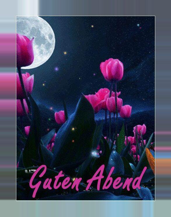 Открытка «Пожелание»: Добрый вечер: Волшебные тюльпаны под полной луной. Тэги: настроение, хороший, прекрасный…