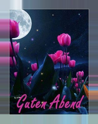 Открытка «Добрый вечер и пожелания»: Добрый вечер: Волшебные тюльпаны под полной луной. Тэги: Добрый вечер красивые…