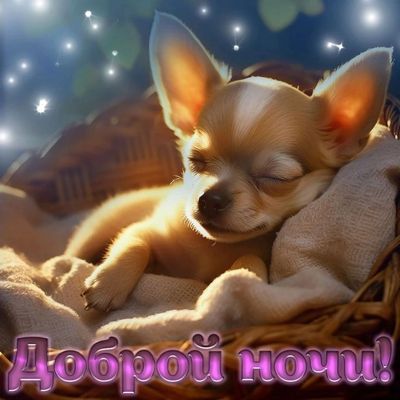 Открытка «Доброй ночи»: Спокойной ночи: милый песик в корзинке. Тэги: Спокойной ночи, Спокойной ночи, с пожеланиями…
