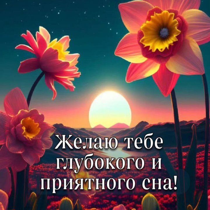Открытка «Доброй ночи»: Спокойной ночи: пожелание приятного сна и цветы. Тэги: Спокойной ночи, Спокойной ночи, красив…