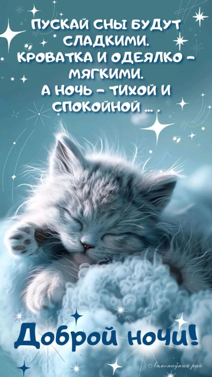 Открытка «Доброй ночи»: Доброй ночи: пожелание сладких снов с милым котиком.