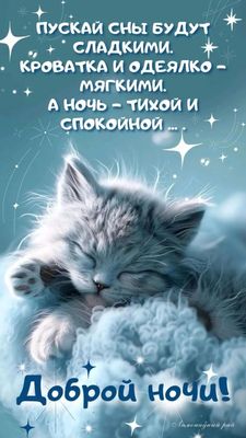 Открытка «Доброй ночи»: Доброй ночи: пожелание сладких снов с милым котиком.