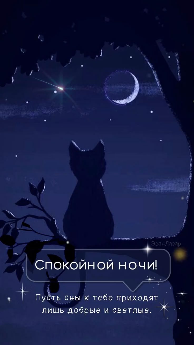 Открытка «Доброй ночи»: Спокойной ночи: милый кот под звездным небом. Тэги: Спокойной ночи, Спокойной ночи, с пожелан…