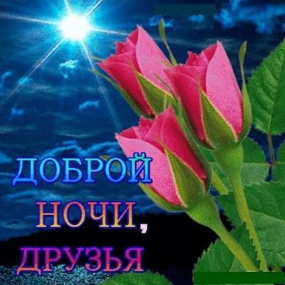Открытка «Доброй ночи»: Спокойной и доброй ночи, друзья: розы под луной. Тэги: Спокойной ночи, Спокойной ночи, красив…