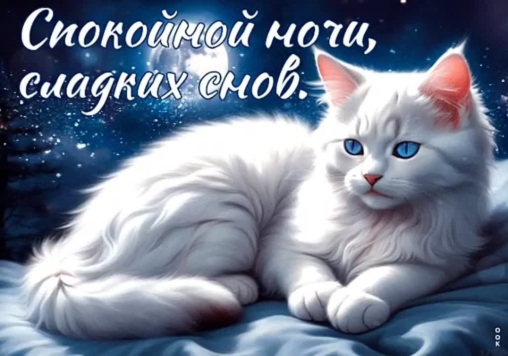 Открытка «Доброй ночи»: Спокойной ночи: милый белый кот и лунная ночь. Тэги: Спокойной ночи, пожелание, кот, милый…