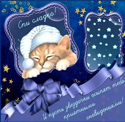 Открытка «Доброй ночи»: Доброй ночи: «Спи сладко» с милым рыжим котиком. Тэги: Спокойной ночи, Спокойной ночи, с поже…