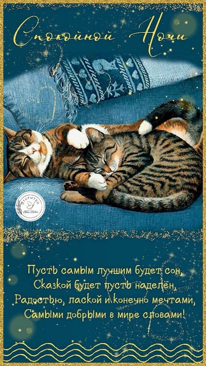 Открытка «Доброй ночи»: Спокойной ночи: милые коты и доброе пожелание. Тэги: Спокойной ночи, Спокойной ночи, с пожела…