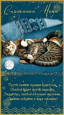 Открытка «Доброй ночи»: Спокойной ночи: милые коты и доброе пожелание. Тэги: Спокойной ночи, Спокойной ночи, с пожела…