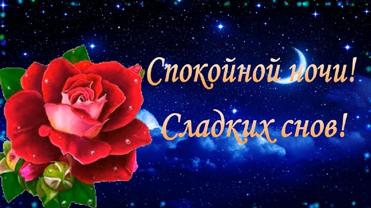 Открытка «Доброй ночи»: Спокойной ночи! Роза под звездным небом. Тэги: Спокойной ночи, Спокойной ночи, красивые…