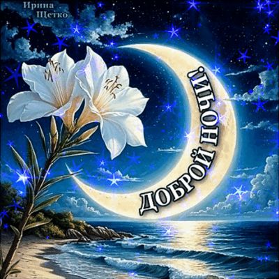 Открытка «Доброй ночи»: Спокойной ночи: «Лунный берег и белые лилии». Тэги: Спокойной ночи, Спокойной ночи, красивые…