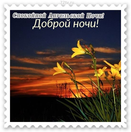 Открытка «Доброй ночи»: Спокойной ночи: красивая открытка на апрель. Тэги: Спокойной ночи, Спокойной ночи, красивые…