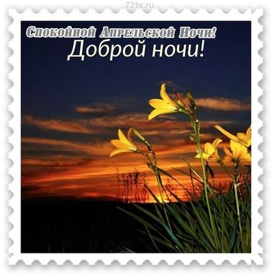 Открытка «Доброй ночи»: Спокойной ночи: красивая открытка на апрель. Тэги: Спокойной ночи, Спокойной ночи, красивые…