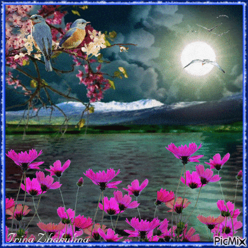 Открытка «Доброй ночи»: Спокойной ночи: Лунная ночь, цветы и птицы. Тэги: Спокойной ночи, Спокойной ночи, красивые…