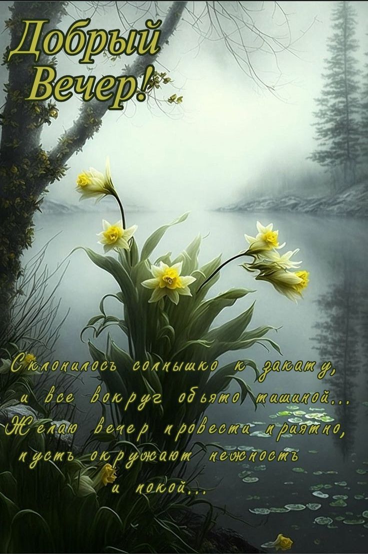 Открытка «Добрый вечер и пожелания»: Добрый вечер — нежное пожелание и туманный пейзаж. Тэги: Добрый вечер красивые…
