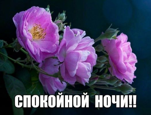 Открытка «Доброй ночи»: Спокойной ночи: «Розовые цветы» для доброго сна. Тэги: Спокойной ночи, Спокойной ночи, красив…