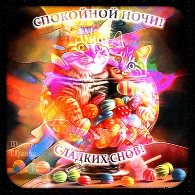 Открытка «Доброй ночи»: Спокойной ночи: Красочная открытка с котами и конфетами.