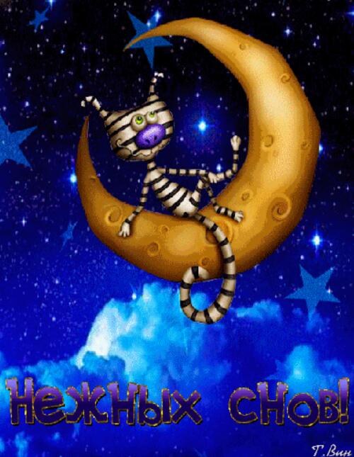 Открытка «Доброй ночи»: Спокойной ночи: Пожелание нежных снов с котом. Тэги: Спокойной ночи, мечтательный, Спокойной…