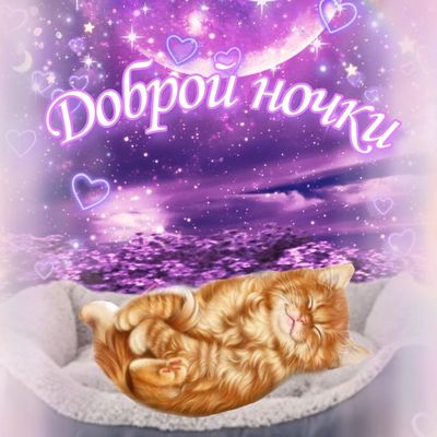 Открытка «Доброй ночи»: Спокойной ночи: милый рыжий кот под луной. Тэги: Спокойной ночи, Спокойной ночи, красивые…