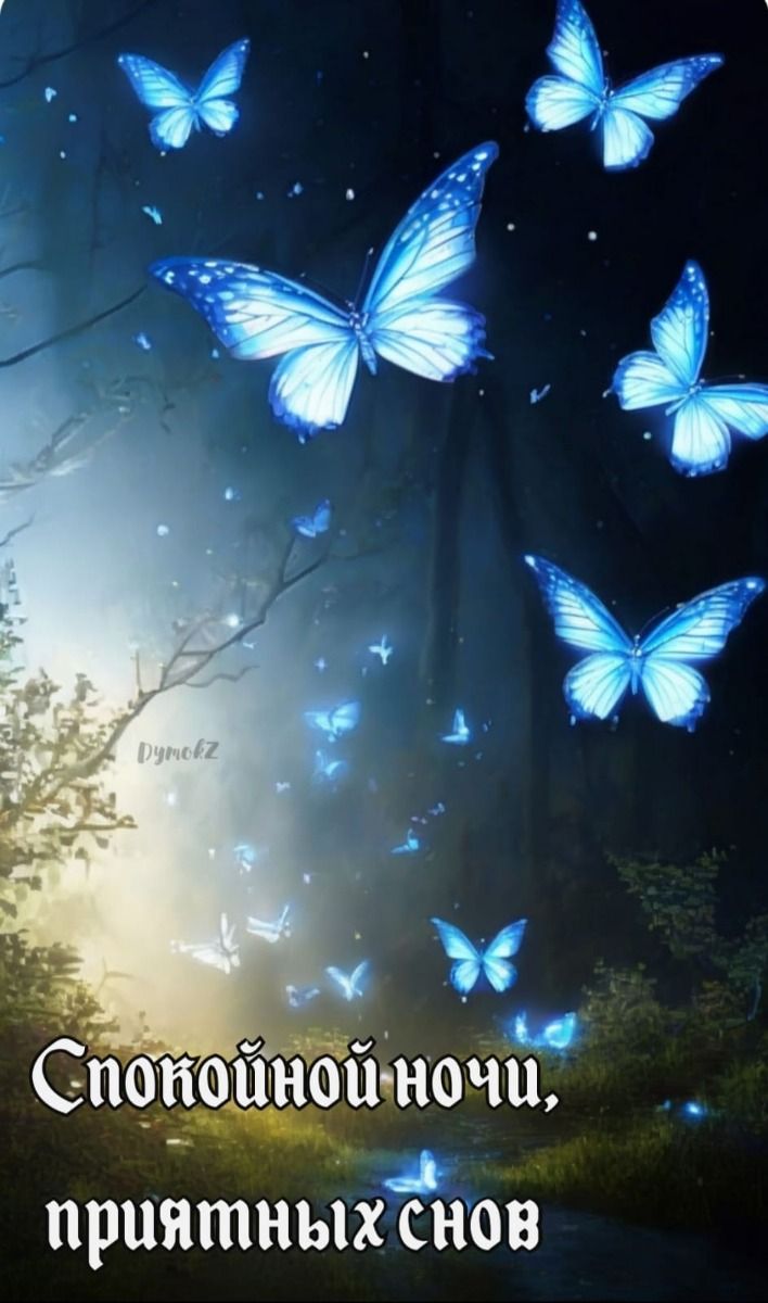 Открытка «Доброй ночи»: Спокойной ночи: магические светящиеся бабочки. Тэги: Спокойной ночи, Спокойной ночи, красивые…