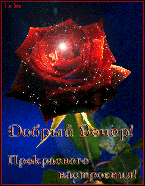 Открытка «Добрый вечер и пожелания»: Добрый вечер! Прекрасного настроения и алая роза. Тэги: Необычный добрый вечер…