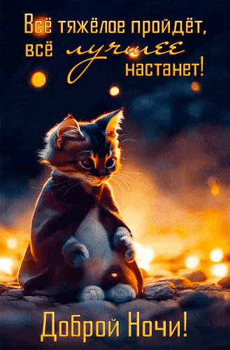 Открытка «Доброй ночи»: Спокойной ночи: мудрый котик и добрые пожелания.