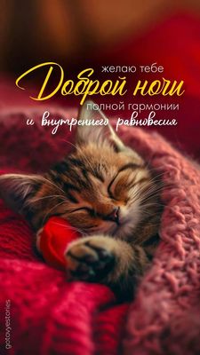 Открытка «Доброй ночи»: Спокойной и доброй ночи: милый котенок под пледом. Тэги: Спокойной ночи, Спокойной ночи…