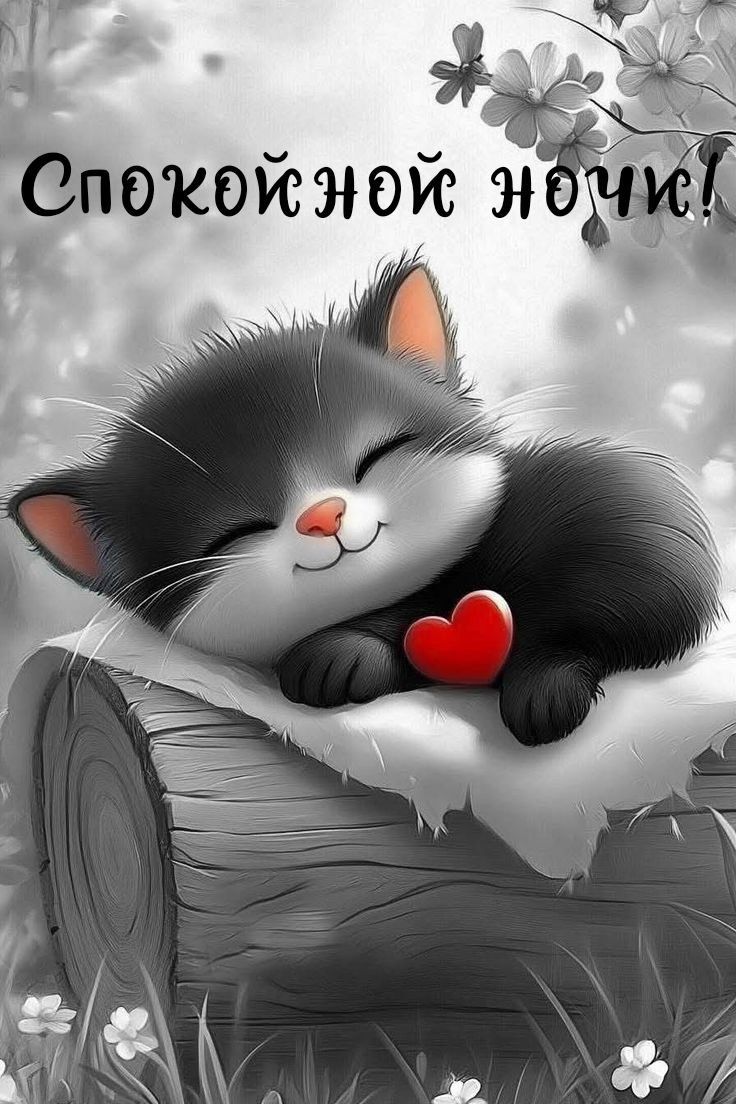 Открытка «Доброй ночи»: Спокойной ночи: «Милый котенок с сердцем». Тэги: Спокойной ночи, Спокойной ночи, с пожеланиями…