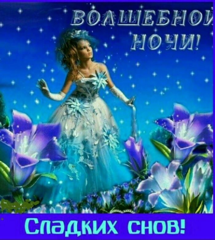 Открытка «Доброй ночи»: Спокойной ночи: «Волшебная ночь и сладкие сны». Тэги: Спокойной ночи, пожелание, рисунок…