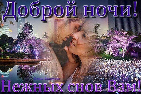 Открытка «Доброй ночи»: Доброй ночи: Нежных снов Вам!. Тэги: Спокойной ночи, Спокойной ночи, красивые, Доброй и споко…