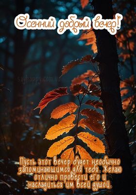 Открытка «Добрый вечер и пожелания»: Осенний добрый вечер: яркие листья в лесу. Тэги: Необычный добрый вечер, Доброго…