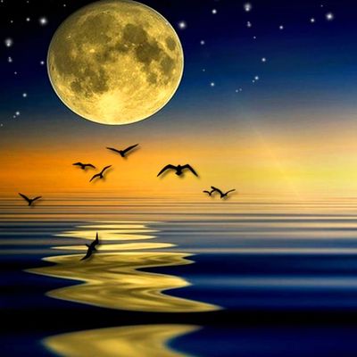 Открытка «Доброй ночи»: Спокойной ночи: Лунная дорожка и птицы над морем. Тэги: Спокойной ночи, Спокойной ночи…