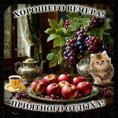 Открытка «Добрый вечер и пожелания»: Добрый вечер и приятный отдых: натюрморт с котенком. Тэги: Добрый вечер красивые…