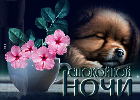 Открытка «Доброй ночи»: Спокойной ночи: милый щенок и цветы. Тэги: Спокойной ночи, Спокойной ночи, с пожеланиями…