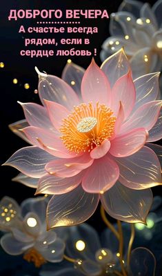 Открытка «Добрый вечер и пожелания»: Добрый вечер: мудрое пожелание и волшебный лотос. Тэги: Доброго вечера и хорошег…